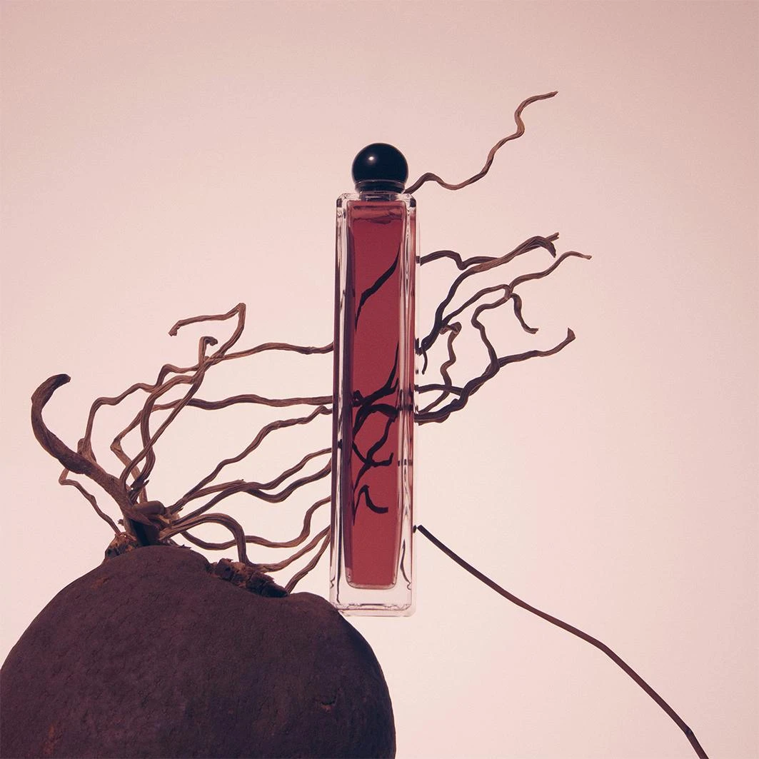 SERGE LUTENS Collection NoireFéminité Du Bois Eau De Parfum 3 SERGE LUTENS Collection NoireFéminité Du Bois Eau De Parfum - Afbeelding 3
