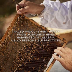 Guerlain Aqua AllegoriaHarvest Nerolia Vetiver Eau De Toilette -Goedkope Lief Schijn Winkel B3wazd1078608 4 dgl NL