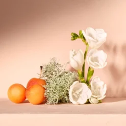 Chloé NomadeSpring Set -Goedkope Lief Schijn Winkel BNmVlD1083911 2 dgl NL