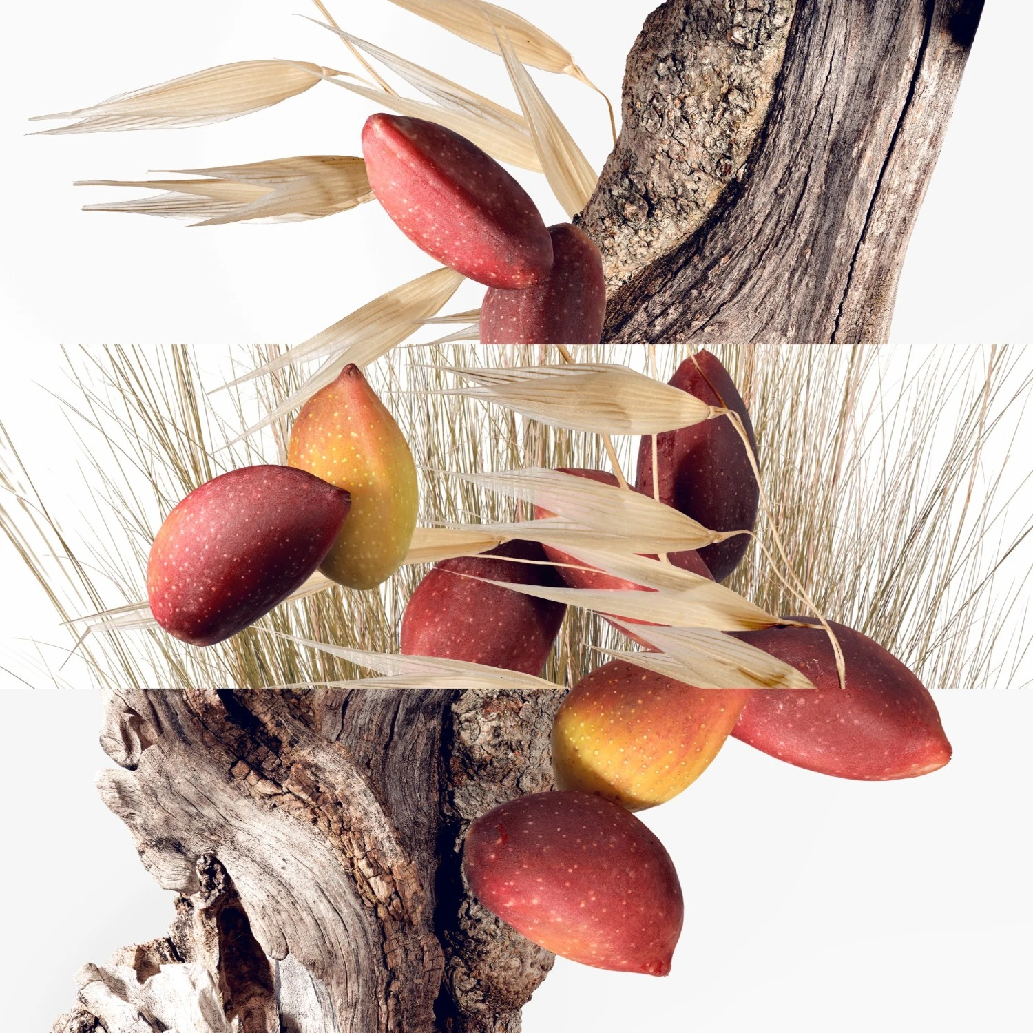 Hermès Collection Parfum JardinUn Jardin à Cythère Navulling Eau De Toilette 3 Hermès Collection Parfum JardinUn Jardin à Cythère Navulling Eau De Toilette - Afbeelding 3