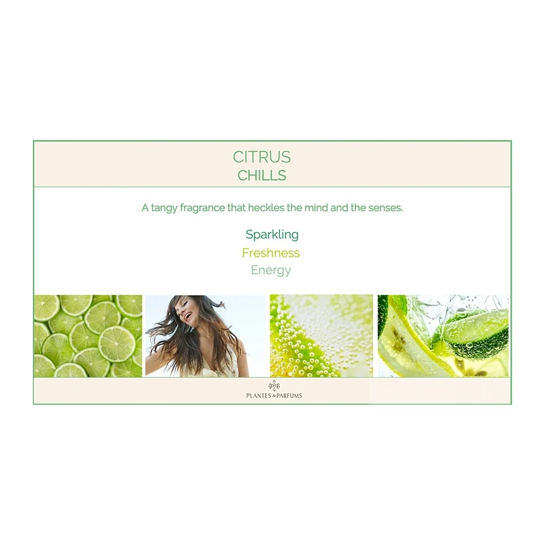 Citrus Chills Gift Box 2 Citrus Chills Gift Box - Afbeelding 2