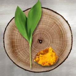 TomoIntense 9 TomoIntense -Goedkope Lief Schijn Winkel ZgZxt4166820 3 global