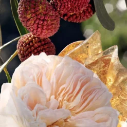 ChloéGiftset: Eau De Parfum 50ml + Bodylotion 100ml -Goedkope Lief Schijn Winkel gra1Qq1075009 2 dgl NL