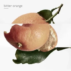 Hermès Eau Des MerveillesDeodorant -Goedkope Lief Schijn Winkel pgzo3l187988 6 dgl NL