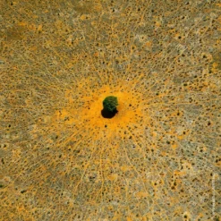 Guerlain Aqua AllegoriaMandarine Basilic -Goedkope Lief Schijn Winkel sDhCvH1004007 4 dgl NL