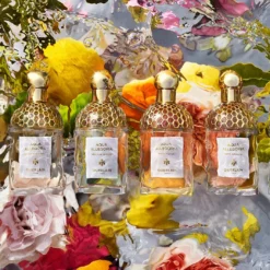 Guerlain Aqua AllegoriaMandarine Basilic -Goedkope Lief Schijn Winkel vdpzQc1004007 6 dgl NL